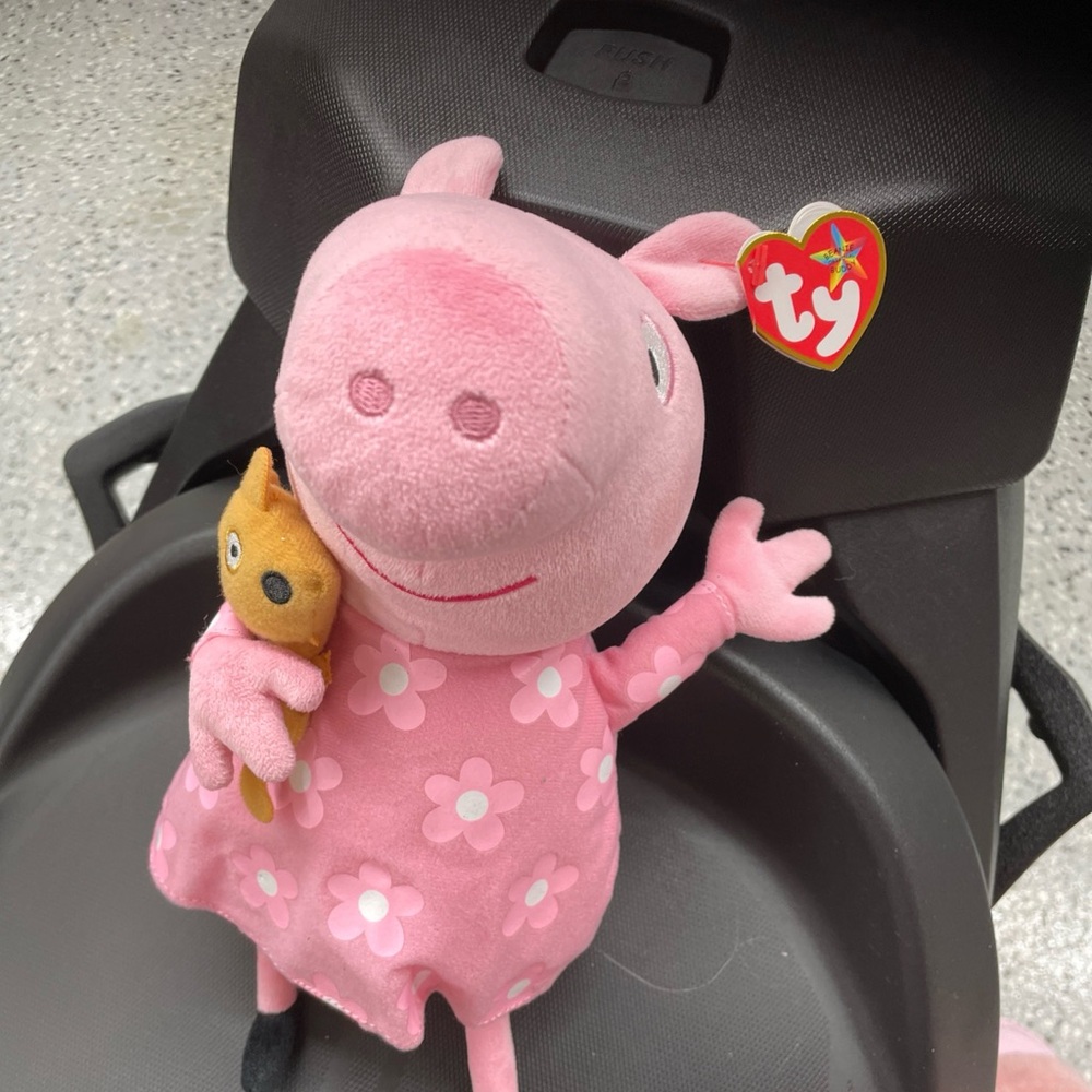 Ty Floral Pink Pig Plush with Teddy